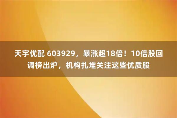 天宇优配 603929，暴涨超18倍！10倍股回调榜出炉，机构扎堆关注这些优质股